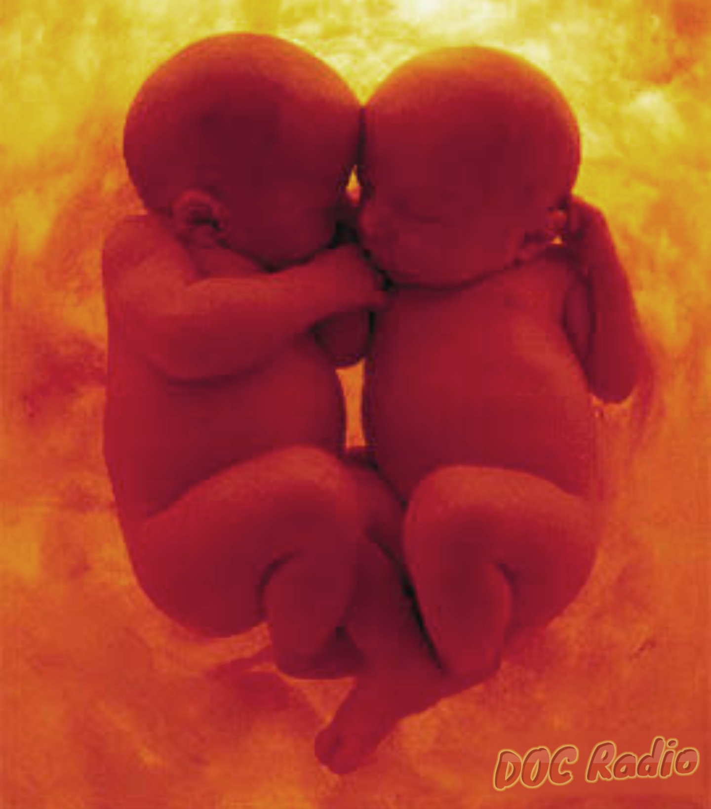Does God exist? 2 babies talk in the womb of life after delivery in a parable about faith